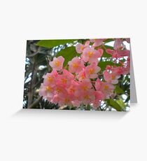 pink Greeting Card