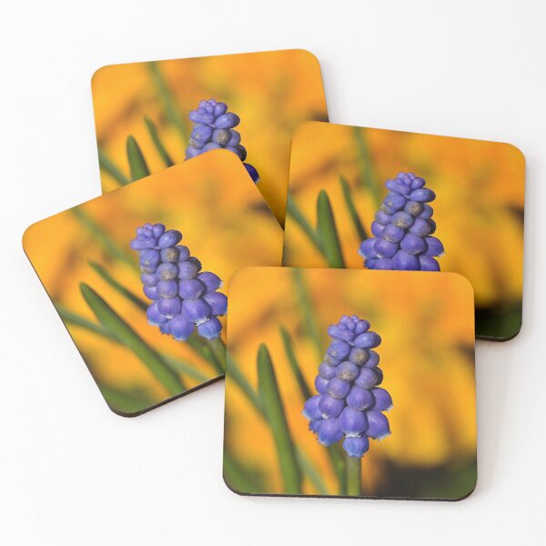 Item preview, Muscari (MKW-F.126) designed and sold by Katrina Morgan.