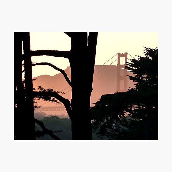 Presidio Dusk Photographic Print