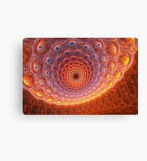 Divine moments of truth Canvas Print