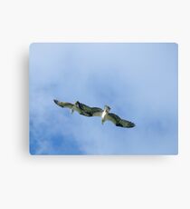 Tandem Canvas Print