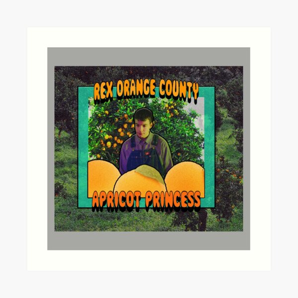 Apricot Princess Art Prints Redbubble