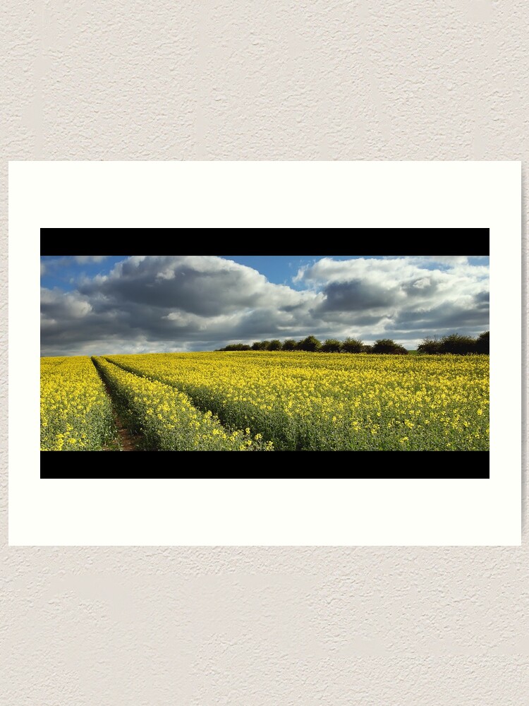 Alternate view of Rape field Art Print