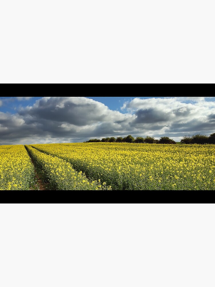 Rape field by tontoshorse