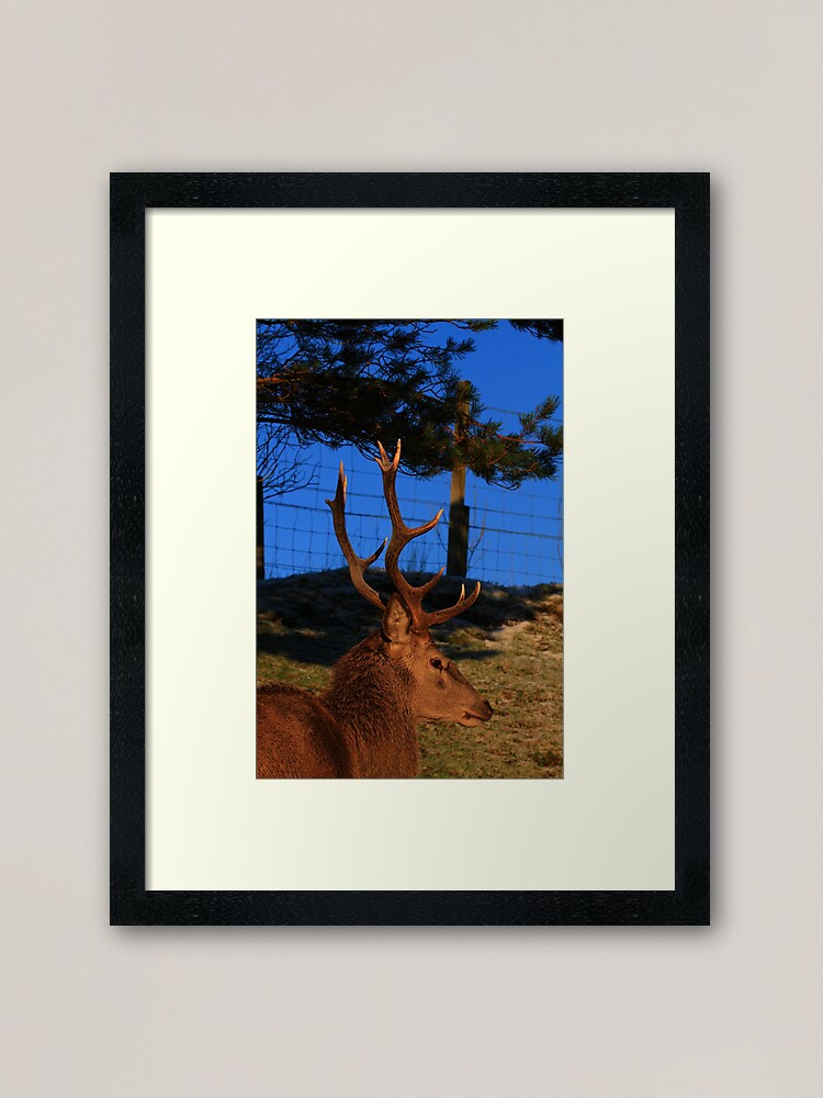 Alternate view of #Dick_Turnip Framed Art Print