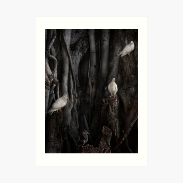 The Banyan Tree Art Print
