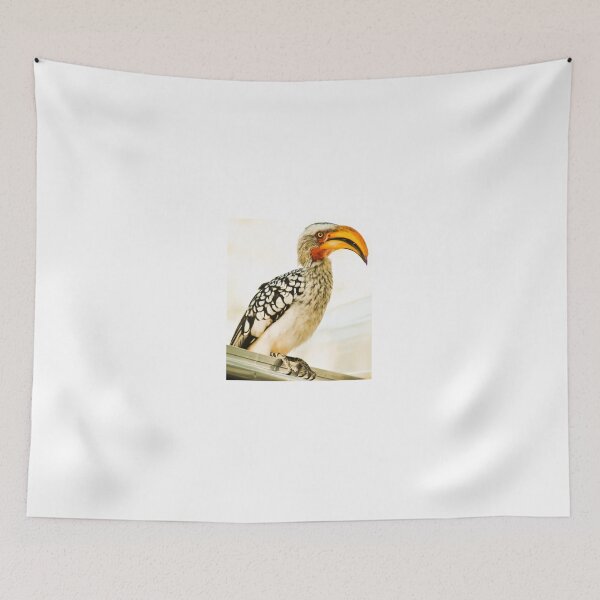 Item preview, Southern Yellow-Billed Hornbill: Feathered Curiosity designed and sold by justbmac.