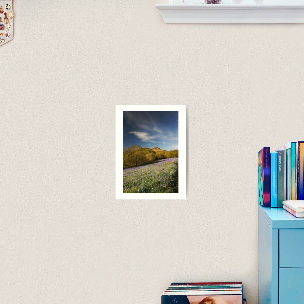 Item preview, Art Print designed and sold by tontoshorse.
