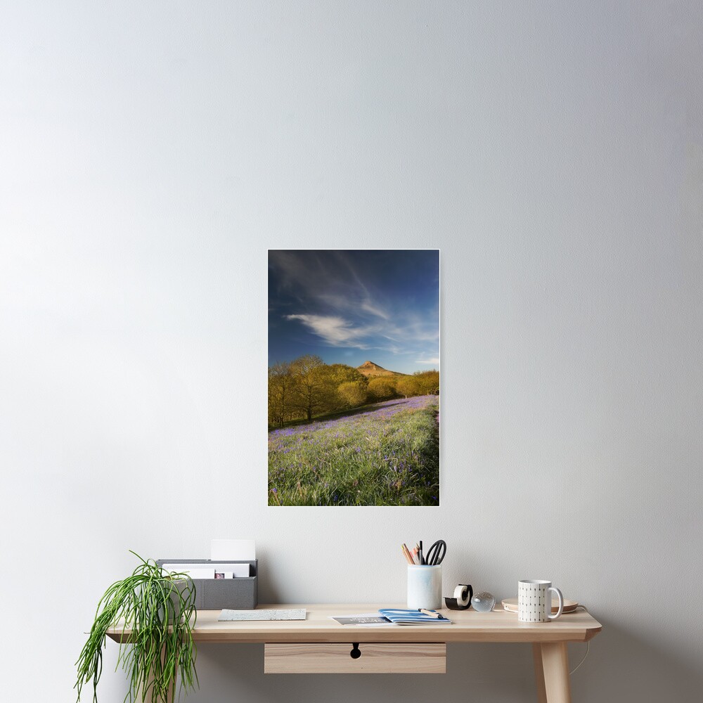 Item preview, Poster designed and sold by tontoshorse.