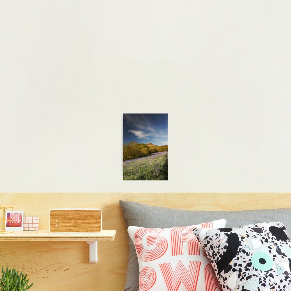 Item preview, Photographic Print designed and sold by tontoshorse.