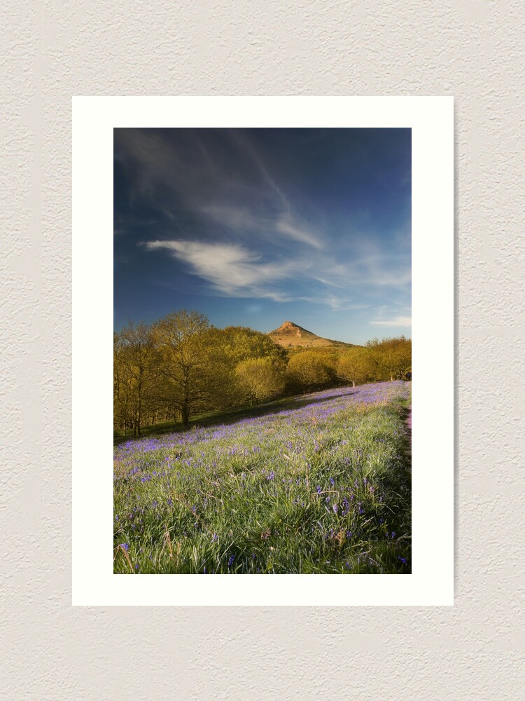 Alternate view of The Bluebells at Roseberry Topping Art Print