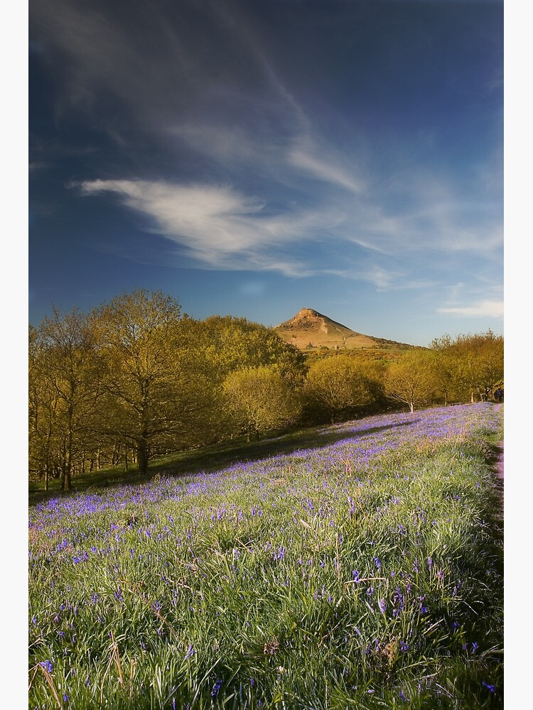 The Bluebells at Roseberry Topping by tontoshorse