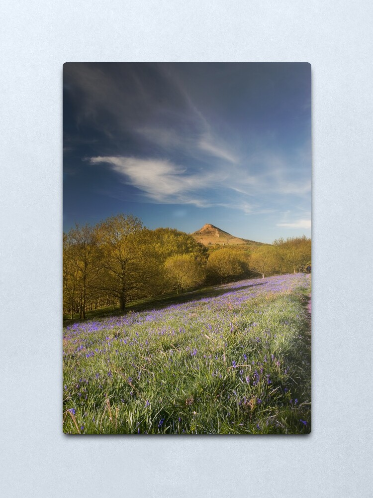 Alternate view of The Bluebells at Roseberry Topping Metal Print