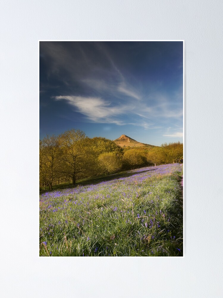 Alternate view of The Bluebells at Roseberry Topping Poster
