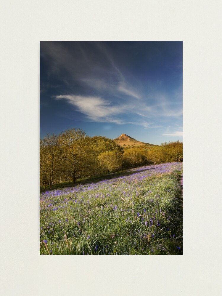 Alternate view of The Bluebells at Roseberry Topping Photographic Print