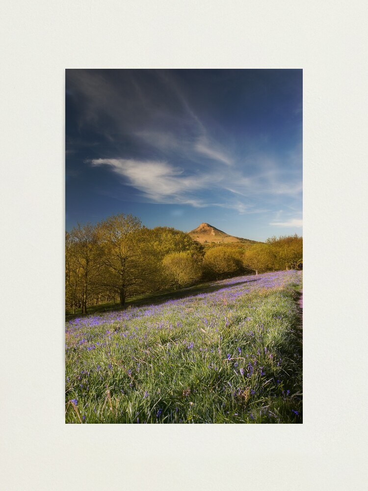 Alternate view of The Bluebells at Roseberry Topping Photographic Print