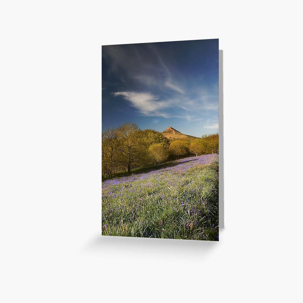 Item preview, Greeting Card designed and sold by tontoshorse.