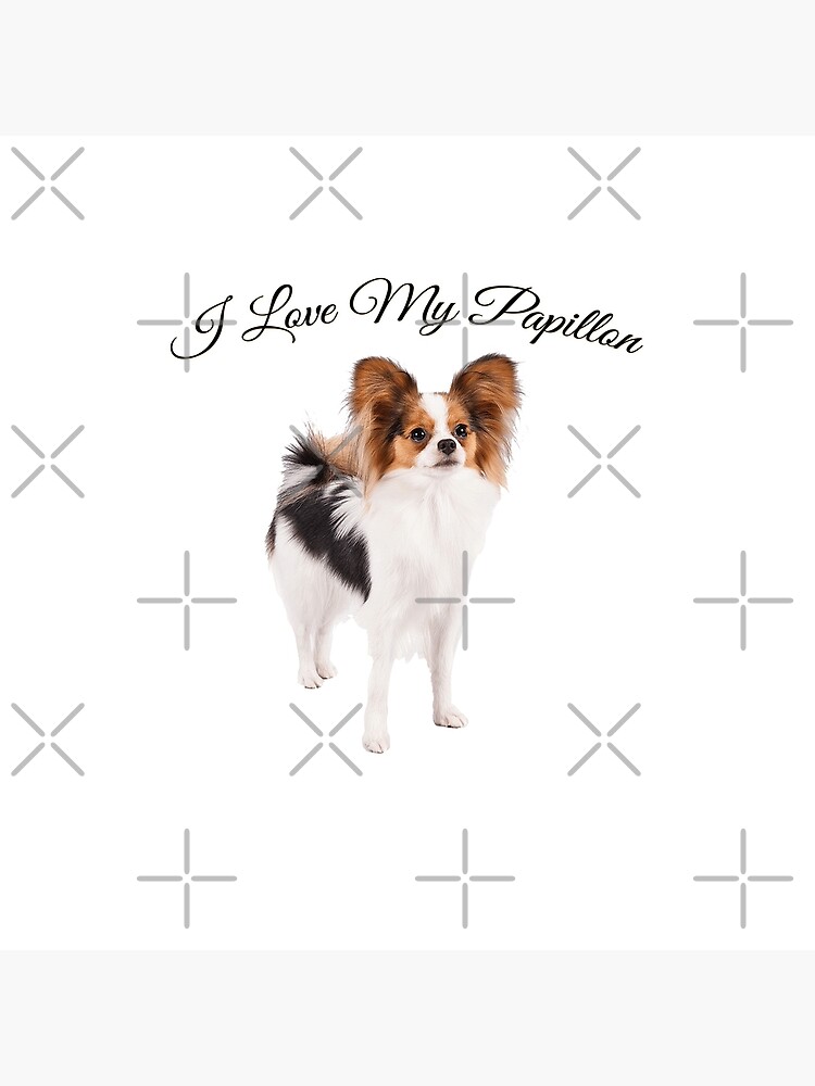 i love my papillon