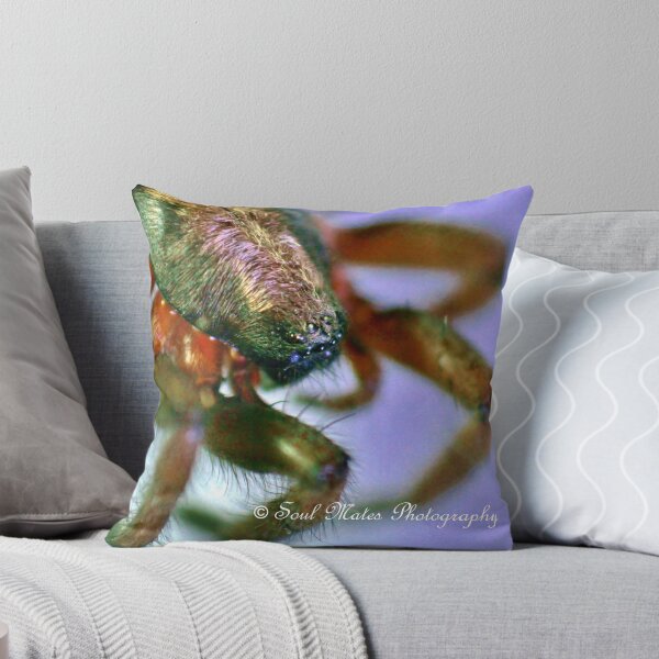 Item preview, Spider designed and sold by SoulMatesPhoto.
