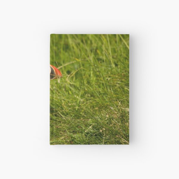 Puffin building a nest Hardcover Journal