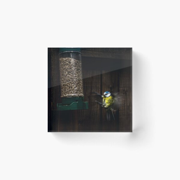 Item preview, BlueTit About To Land designed and sold by widdy170.