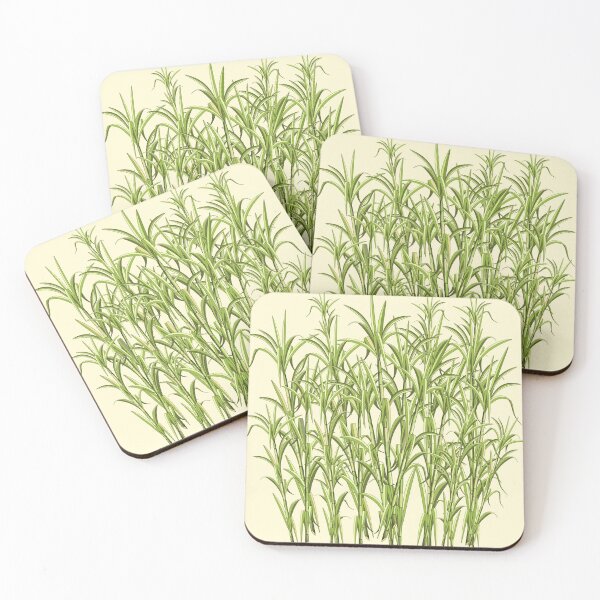 Item preview, Sugar Cane Exotic Plant designed and sold by BluedarkArt.