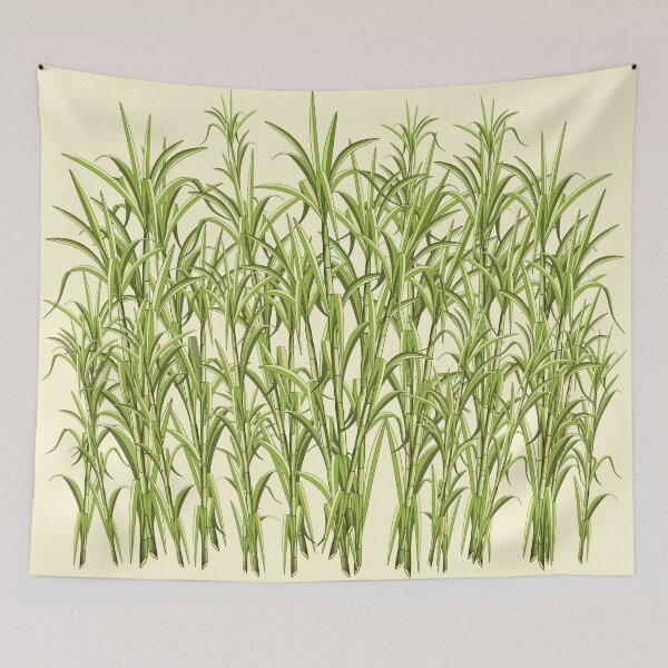 Item preview, Sugar Cane Exotic Plant designed and sold by BluedarkArt.