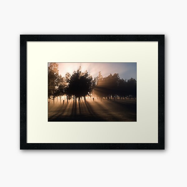 Item preview, Misty Morning - Mount Macedon - Victoria   designed and sold by Frank Moroni.