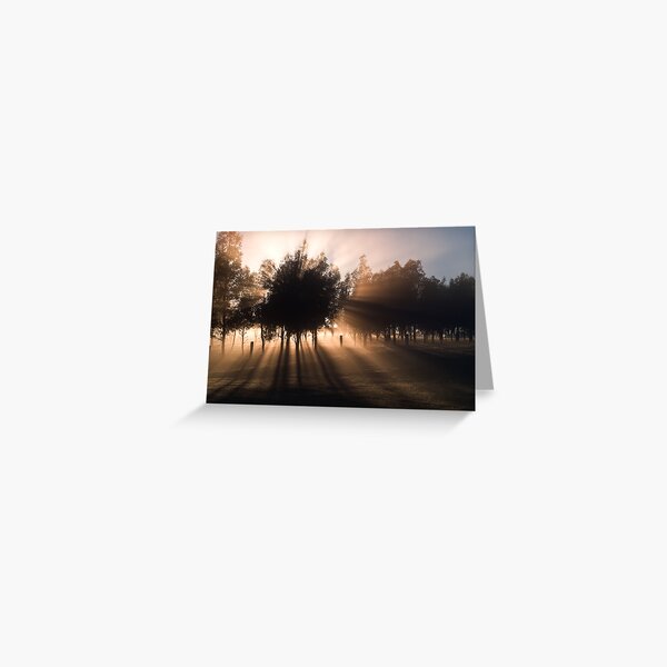 Item preview, Misty Morning - Mount Macedon - Victoria   designed and sold by Frank Moroni.
