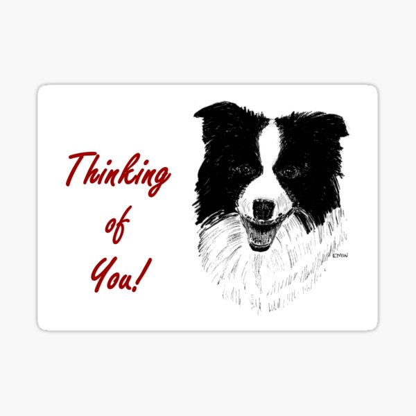 Border Collie Thinking of You Card Sticker