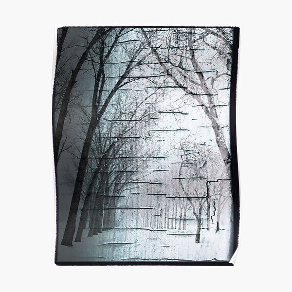 endless winter Poster