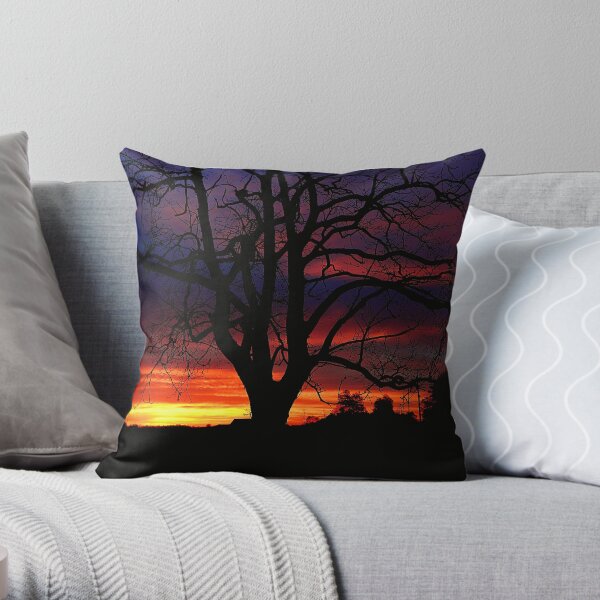 There's a thought that fills your mind..A vision of time..When you gaze at the morning sky..An orbit survey finds your mind..I will remember Throw Pillow