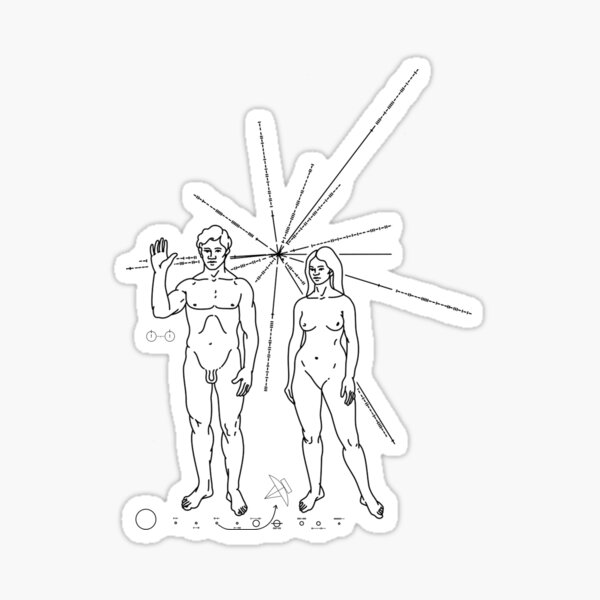 PIONEER Sticker