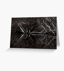 Willow and Water 2 Greeting Card