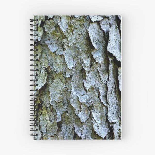 Aperçu de l'œuvre Tree bark créée et vendue par Laurie Minor.