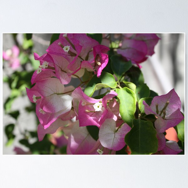 Item preview, Pink tranquility designed and sold by Kelley Shannon.