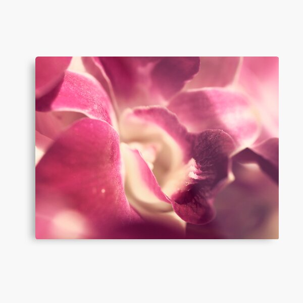 everything has beauty Metal Print