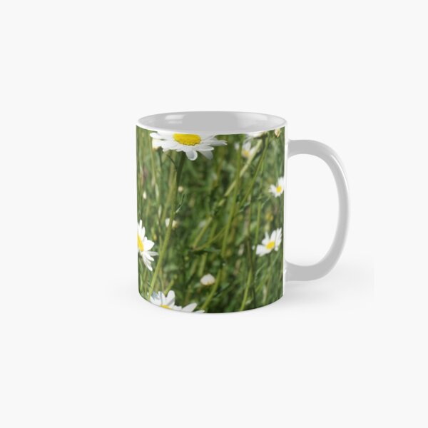 Oxeye Daisies Classic Mug