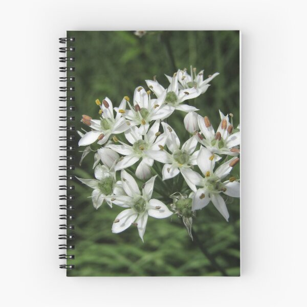 Item preview, allium tuberosum designed and sold by Floralynne.