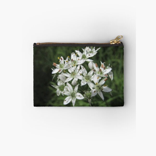 Item preview, allium tuberosum designed and sold by Floralynne.