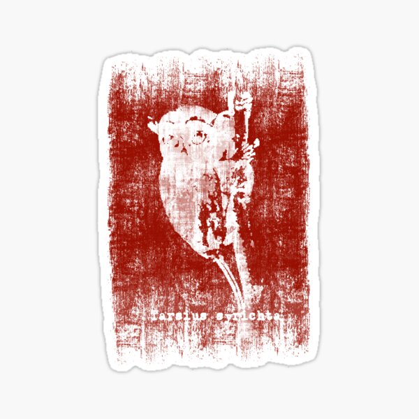Tarsius syrichta Sticker