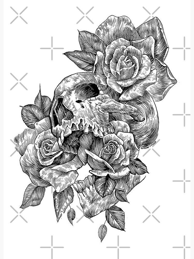 Black and White Ink Skull and Roses | Art Board Print