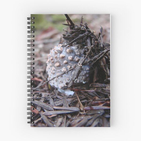 Item preview, Trap Door Mushroom designed and sold by Jean Gregory Evans.