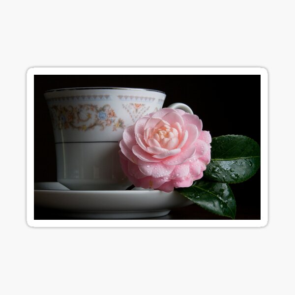 Simple Pleasures Sticker
