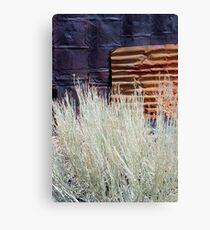 bodie textures Canvas Print