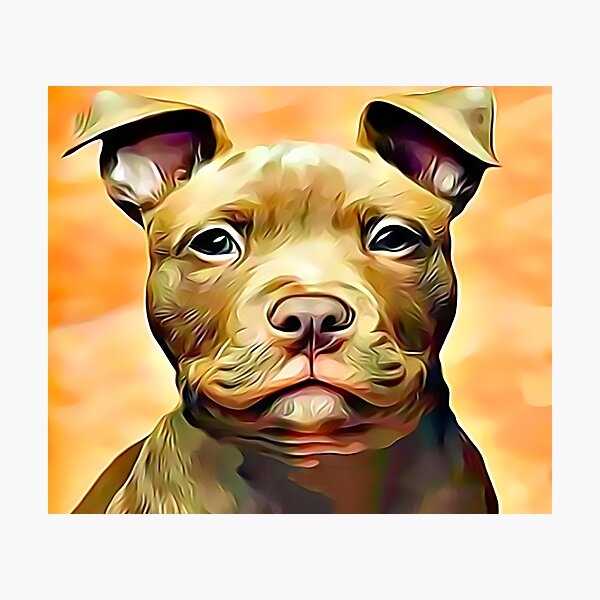 Aperçu de l'œuvre Le Pit Bull Pup créée et vendue par Sunleil.