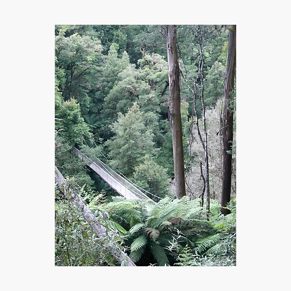 Item preview, Tarra-Bulga National Park designed and sold by Nupur Nag.