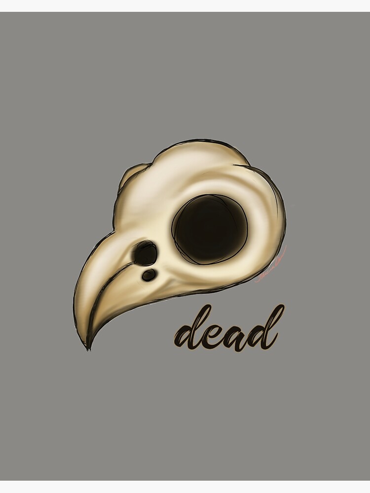 Taxidermy skull Bird animal Mount Gothic