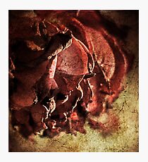 Vintage Photographic Print