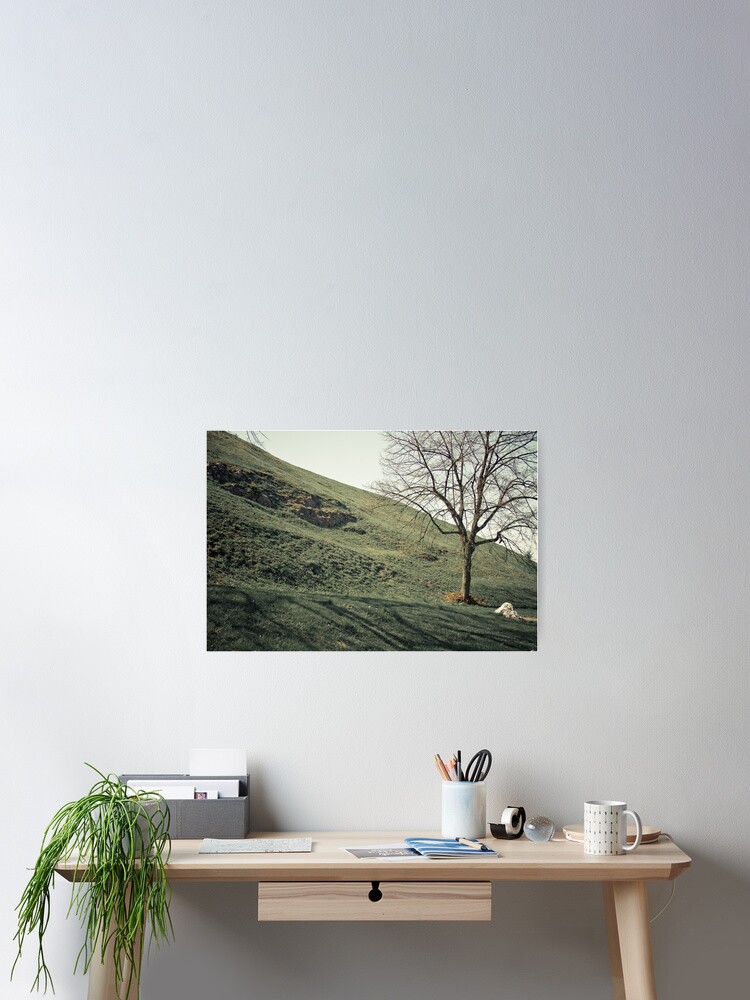 Thumbnail 2 of 3, Poster, foothill designed and sold by BrainCandy.